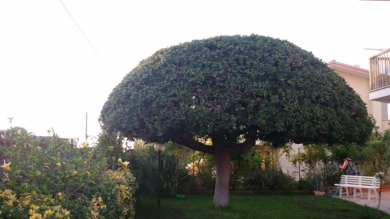 브루콜리 Casa Di Poseidone 빌라 외부 사진